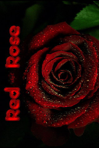 Red Rose - Анимационные блестящие картинки GIF