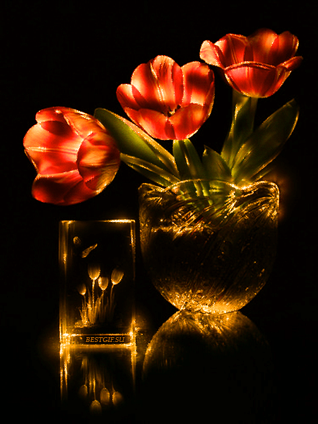 Золотистые тюльпаны