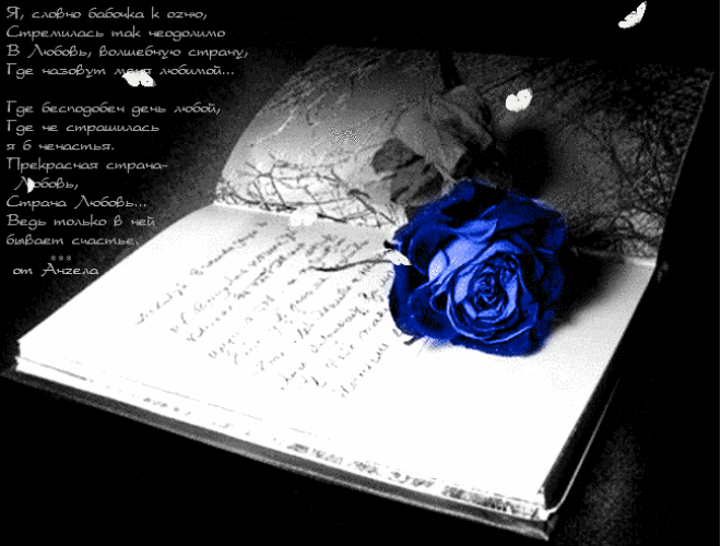 Роза в дневнике