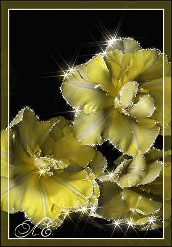 Жёлтые мерцающие цветы - Цветы анимация
