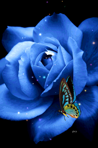 Синяя роза с бабочкой
