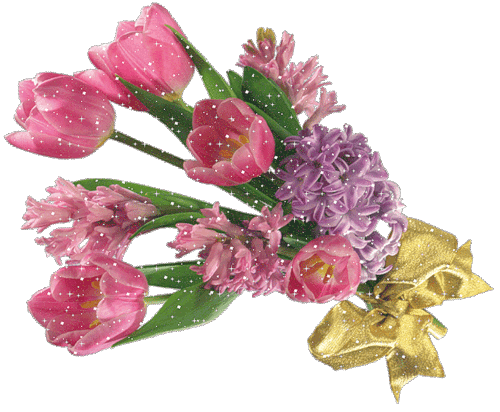 Картинка букет тюльпанов на прозрачном фоне