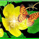 Бабочка летнего счастья