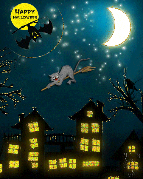 Кот и летучая мышь - Хэллоуин, gif скачать бесплатно