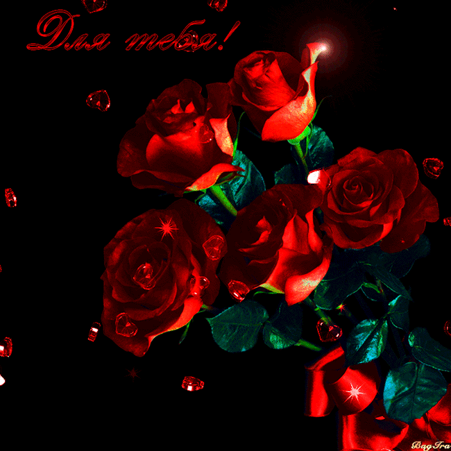 Красные розы для любимой