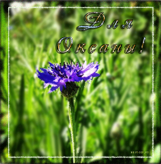 Для Оксаны - Открытки с именами