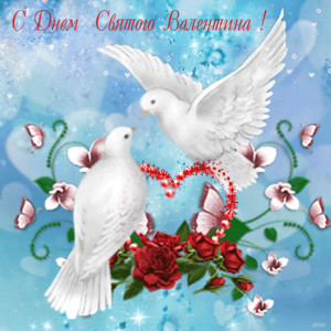 Два белых голубя – День Валентина