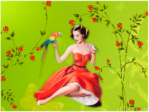 Пинап девушка с попугаем - Девушки арт