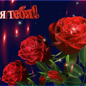 Для тебя красные розы