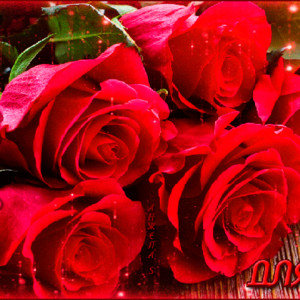 Красные розы для тебя