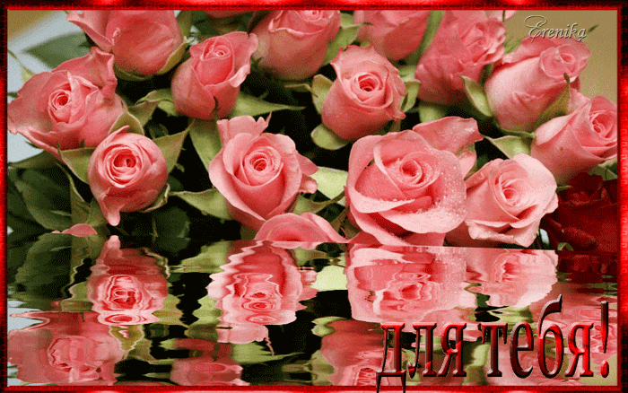 Розовые розы - Анимационные блестящие картинки GIF