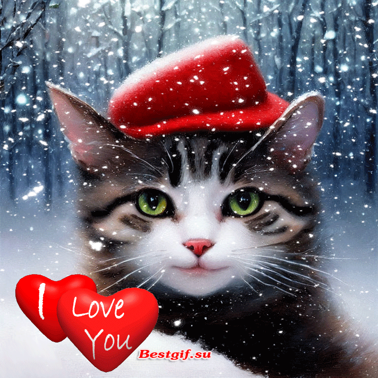 Кот в красной шляпке и сердечки - Живые гифки, gif скачать бесплатно