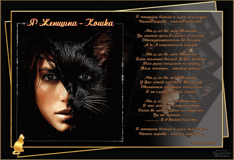 Woman cat песня. Стихи женщина кошка. Стихотворение про женщину кошку. Женщина кошка стихи красивые. Стих я кошка.