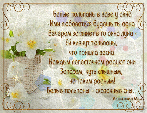 Белые тюльпаны – сказочные сны - Анимация со стихами