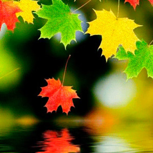 Разноцветная осень