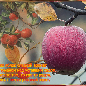 Осенних яблок сладкий аромат