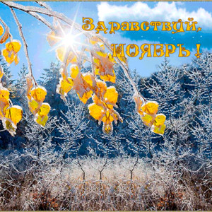 Снежная гиф открытка здравствуй Ноябрь