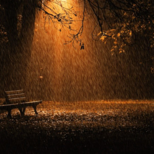 Осенний дождь в ночном парке
