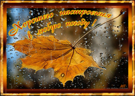 Осенний лист - Осень картинки