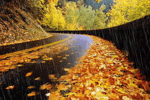 Осенний дождь - Осень картинки