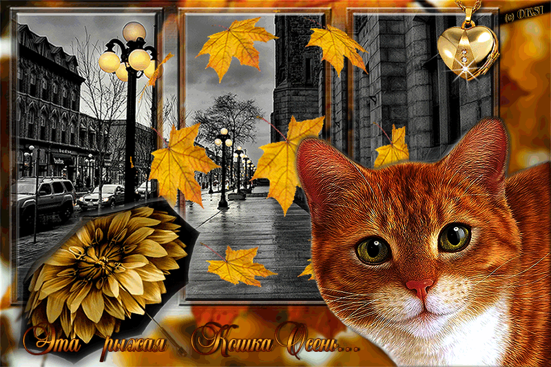 Рыжая кошка Осень