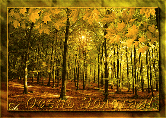 Осень золотая. Листопад - Анимационные блестящие картинки GIF