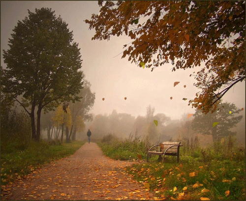 Осенний листопад - Осень картинки