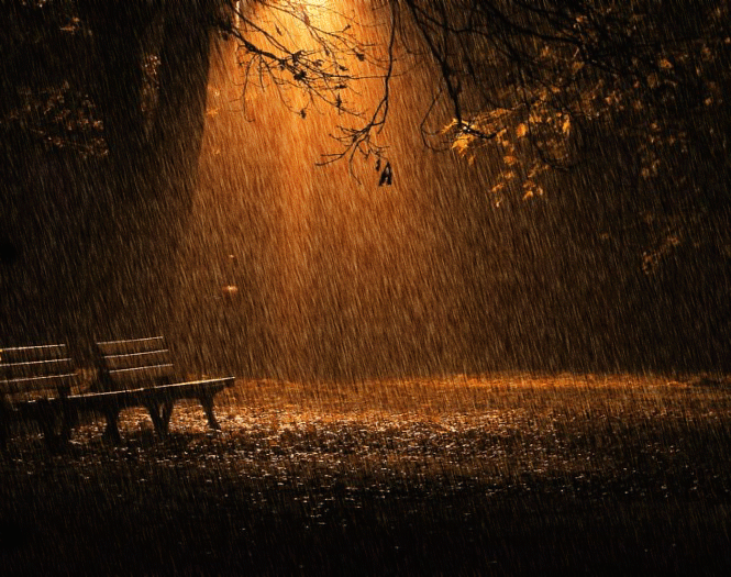 Осенний дождь в ночном парке