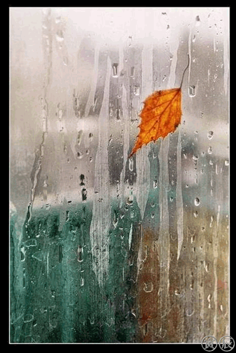 Кали дождя на стекле - Анимационные блестящие картинки GIF