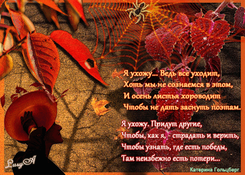 Осень в стихах - Осень картинки