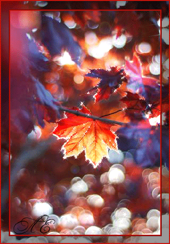 Осенний лист в солнечных лучах - Осень картинки