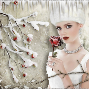 Зима, девушка и роза