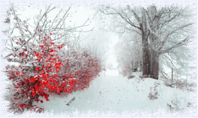 заснеженные кусты и снегопад - Анимационные блестящие картинки GIF