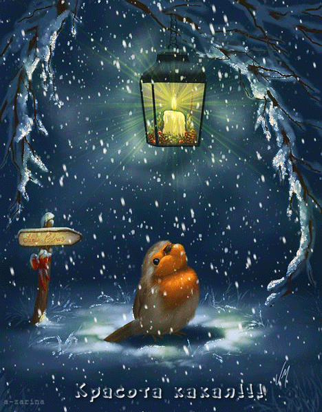 Птичка на лесной полянке зимой - Зима картинки