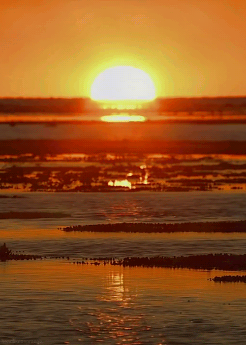 Закат солнца - Живые фотографии