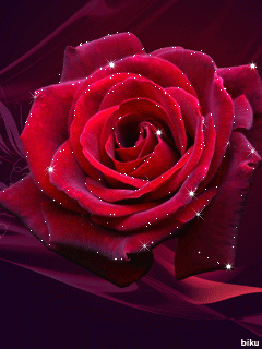 Бархатная роза фото - Анимационные блестящие картинки GIF