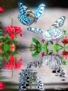 Волшебные бабочки - Анимационные блестящие картинки GIF