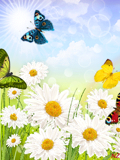 Лето бабочки ромашки - На телефон - Анимационные блестящие картинки GIF