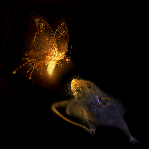 Картинка Бабочка и мышь - Анимационные блестящие картинки GIF