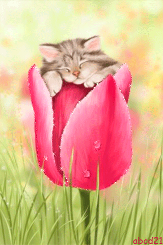 Спящий котёнок в цветке - Сказочные, gif скачать бесплатно