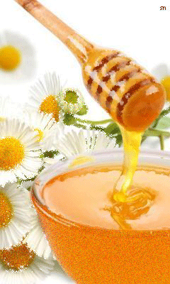 Картинка с медом