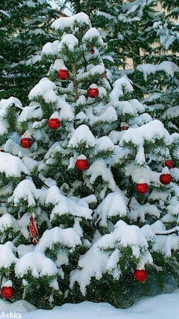 Новогодняя елка зимой на улице