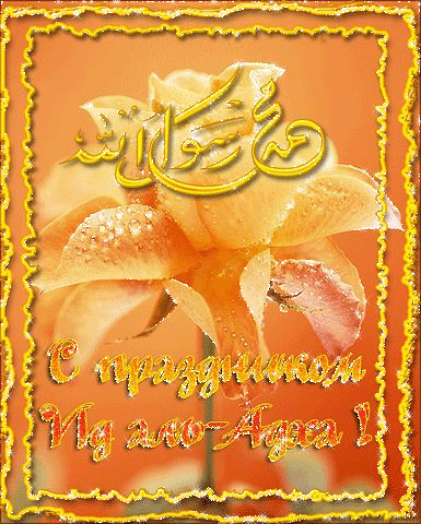 Поздравления с праздником Ид аль-Адха - Исламские открытки поздравления мусульманам