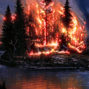 Лес в огне картинка