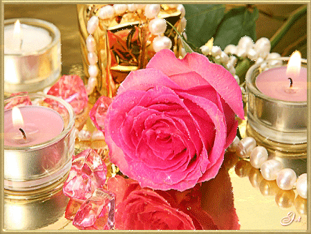 Гламурная картинка с розой