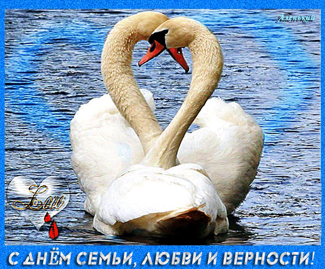 Лебеди символ любви и верности