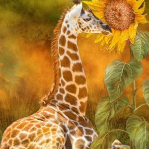 Жираф с подсолнухом