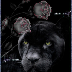 Пантера с розами