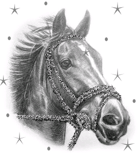 Лошадь рисунок карандашом - Фото животных