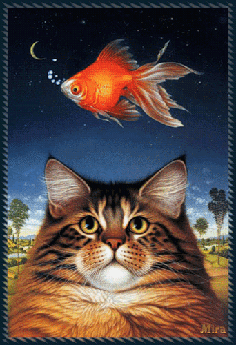 Кот и золотая рыбка - Фото животных